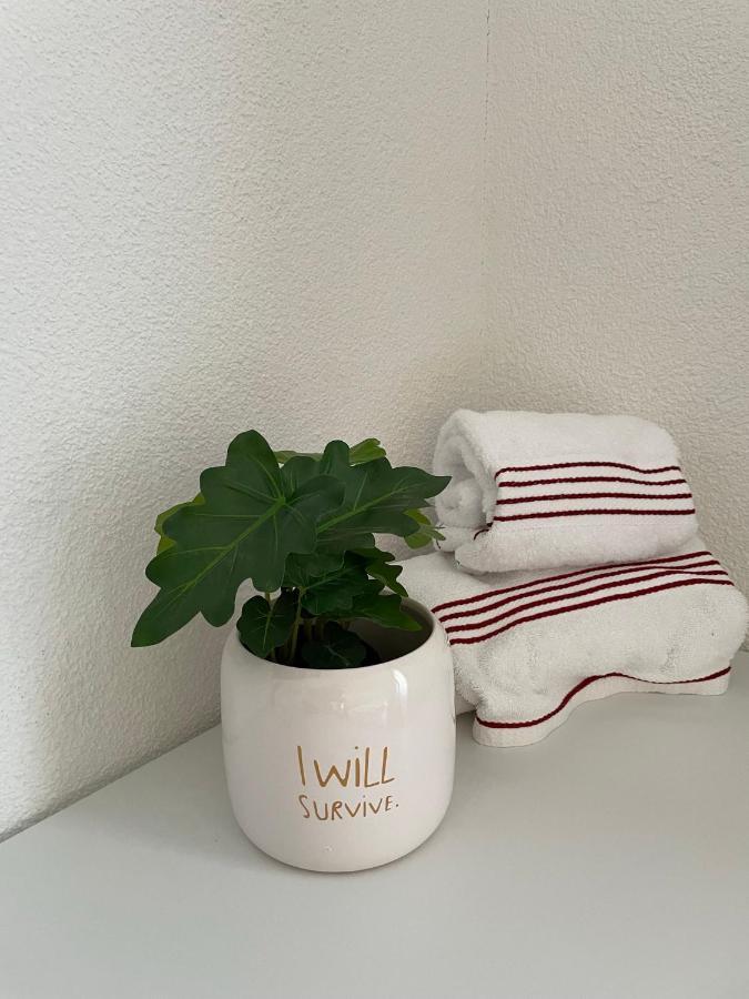 Hubel Apartment 14 วิลเดอร์สวิล ภายนอก รูปภาพ